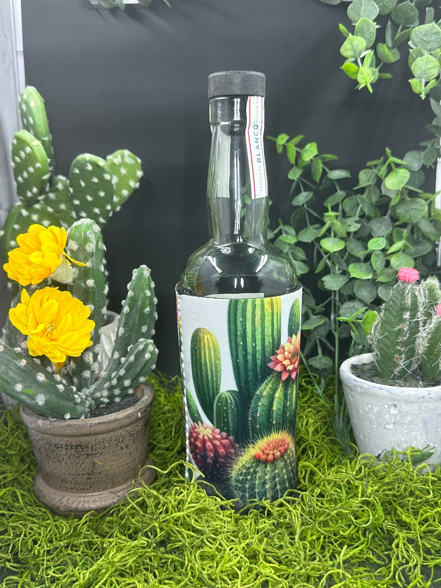 Succulant Cactus Garden Bottle Koozie