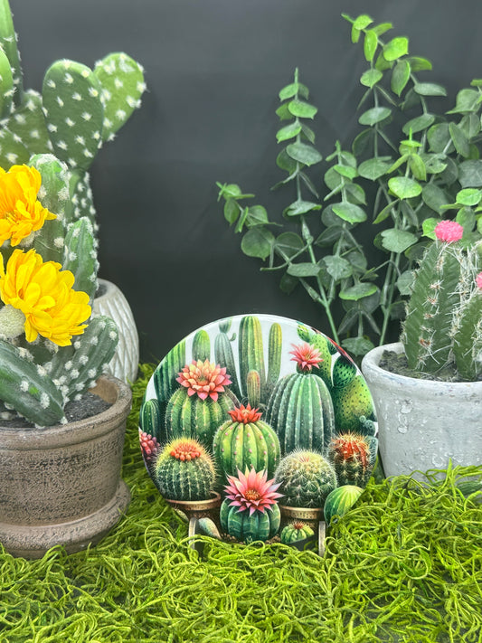 Succulant Cactus Garden Ceramic, Round Coaster